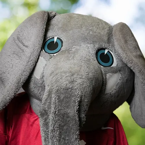 Big Al (no staff photo available)