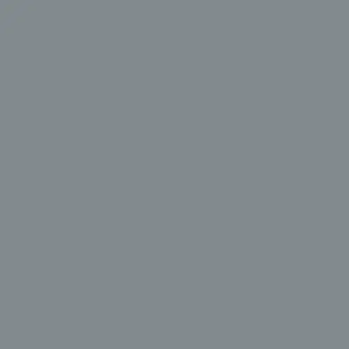 Capstone gray color